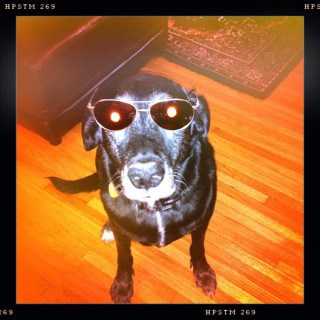 Year One: The Best of 2011 (and some free music)